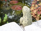 Sitting Frog Pond Spitter - Statue Only - Water Garden Fountain Toad Gift Decor
