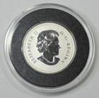 2018 Canadian  8 9999 Pure Silver Peaceful Panda Coin Colored In Capsule