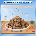 Freeze Dried Brine Shrimp Cubes - 100  Brine Shrimp Fish Food For All Tropica   