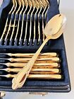Vintage Rare Solingen 24k Gold Plated Flatware 70pcs Cutlery Case Set Germany