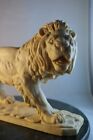 Heavyweight Soapstone Carved Male Lion Statue Regal Detailed King Of The Jungle