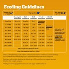 Dry Puppy Food  Puppy Dry Food With Grilled Steak And Vegetable Fl  3 5 Lb  Bag