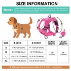 Small Dog Harness And Leash Set Soft Mesh Padded Puppy Pet Cat Reflective Vest 