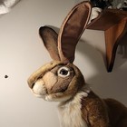 Hansa Jack Rabbit Plush Realistic Poseable Stuffed Animal Handcrafted Bunny