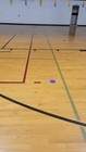 Wood Gym Floor - 8  X 4  X 1-1 4 