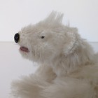 Ooak Mohair Jointed 8  Mini Polar Bear - Artist Teddy Plush By Chuck Swanson