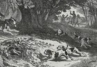 Dog Beagles   Harrier Hounds Hunt Rabbit  Rare 1870s Antique Engraving Print