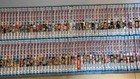 4set One Piece Vol  1-99 Japanese Manga Eiichiro Oda Jump Comics Used
