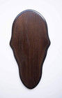 Dark Oak Classic Deer European Skull Mount Face Plate Plaque