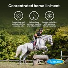 Farnam Vetrolin Horse Liniment For Muscle Soreness  Stiffness And Inflammation R