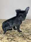 Vintage Cast Iron Boston Terrier Black White Doorstop Decor