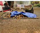 Grizzly Tarps By  10  X 14  Large Multi-purpose Waterproof Heavy Duty Poly Tarp 