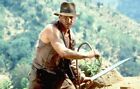 Indiana Jones 6  8  10  12 Feet 8 Strands Brown Cowhide Real Leather Bullwhip