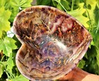 Huge 265mm Blue Auralite 23 Stone Heart Shape Healing Aura Reiki Prayer Bowl