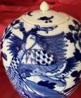 Chinese Qing Dynasty Blue White Phoenix Chrysanthemums Porcelain Jar Ca 18-19c