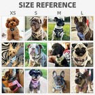 Pupteck Soft Mesh Dog Harness And Leash Set Pet Puppy Cat Comfort Padded Vest No