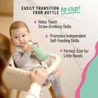 Honey Bear Straw Cup Silicone For Babies  green   8 Oz  Dishwasher Safe Baby    