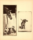 Antique Dachshund Print Vintage Diana Thorne Dachshund Wall Art Decor 6937p