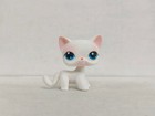 Littlest Pet Shop Toys Lps Short Hair White Cat  64  Figure New