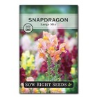  - Large Mixed Snapdragon Flower Seeds For Planting - Non-gmo Heirloom Packet 