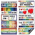 10 Pcs Bumper Decals Funny Lgbt Stickers Rainbow Bumper Magnetic Stylish Style