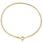 14k Yellow Gold 2mm Solid Plain Curb Cuban Link Anklet   Bracelet 7 - 10 Inches