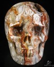 Gemstone 2 0  Red Crazy Lace Agate Hand Carved Crystal Skull  Realistic