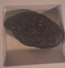 Moldavite Czech Republic Meteorite Impact Glass Green Tektite Gem 38 Grams Reike