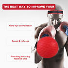 Boxing Fight 4 Balls With Head Band For Reflex Speed Training Punching Exercise