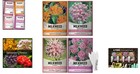 Pollinator Paradise  4 Milkweed Seed Varieties For Vibrant Outdoor Gardens
