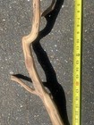 Manzanita Wood  Driftwood  Reptile Tank Decor  Fishtank Aquascape Or Terrarium 