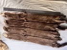 Set Of 4 Medium Brown Mink Pelts