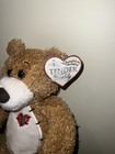 First   Main Tender Teddy Bear Plush Stuffed Animal Brown Red Plaid Heart 12   