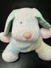 Vintage Eden Puppy Dog Waffle Plush Thermal Pastel Terry Cloth Baby Lovey Read