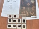 The Advocate Colin Firth Movie Press Kit Photos slides