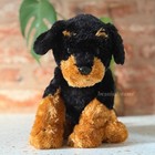      Brutus The Rottweiler        Ty Beanie Buddy   Black Brown Dog   Large Size