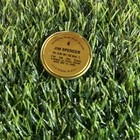 1971 Topps Coins  4 Jim Spencer Angels A16