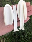 Coprinus Comatus  Shaggy Mane Mushroom  Garden Inoculum  Spawn  Grain Spawn