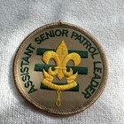 Bsa Boy Scouts Official Assistant Senior Patrol Leader Patch New
