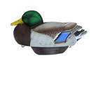 Heyday Hydrofoam Mallards Duck Decoys 6 Pack