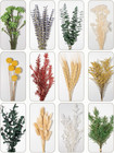 12 Kind Dried Flowers Set - Including Lavender  Eucalyptus  Wheat  Bunny Tails  