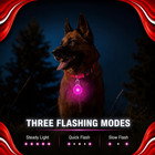 Led Glowing Dog Collar Usb Rechargeable Safety Light Pet Night