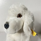 Steiff Mopsy Poodle 10 5  Plush Dog White Stuffed Animal Original Tags   Ear Tag