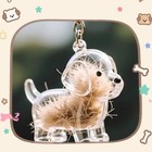 Clear Puppy Hair Memorial Capsule Pet s Dog Fur Container Diy Pendant Keychain