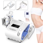 3 Handles Freezing Double Chin Removal Cool Therapy Body Massager Beauty Machine