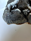 Vintage Living Stone Mama Bear With 3 Cubs