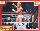 Hulk Hogan Signed Wwf Wwe Wrestling 16x20 Color Photo Auto Bas Custom Framed 
