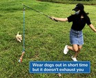 Dewonch Interactive Flirt Pole Toy For Dogs Chase And Tug Of Wardurable Teaser