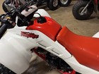 1989 Honda Trx250r
