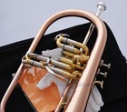 Professional Rose Brass Bb Flugelhorn Monel Valve New Flugel Horn 2pc Mouthpiece